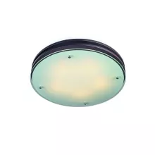 Потолочный светильник Caminha OML-40307-05 купить с доставкой по России